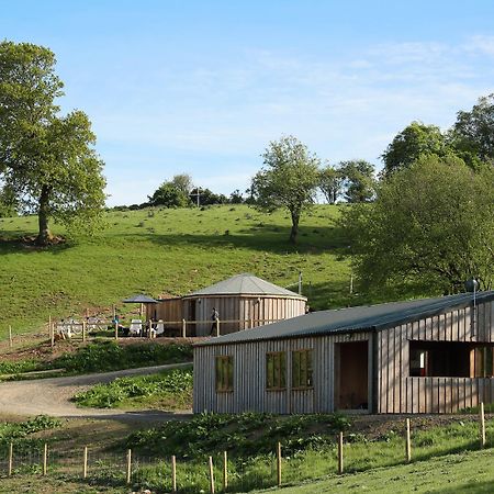 Вілла Rolling Hills Newcastle  Екстер'єр фото