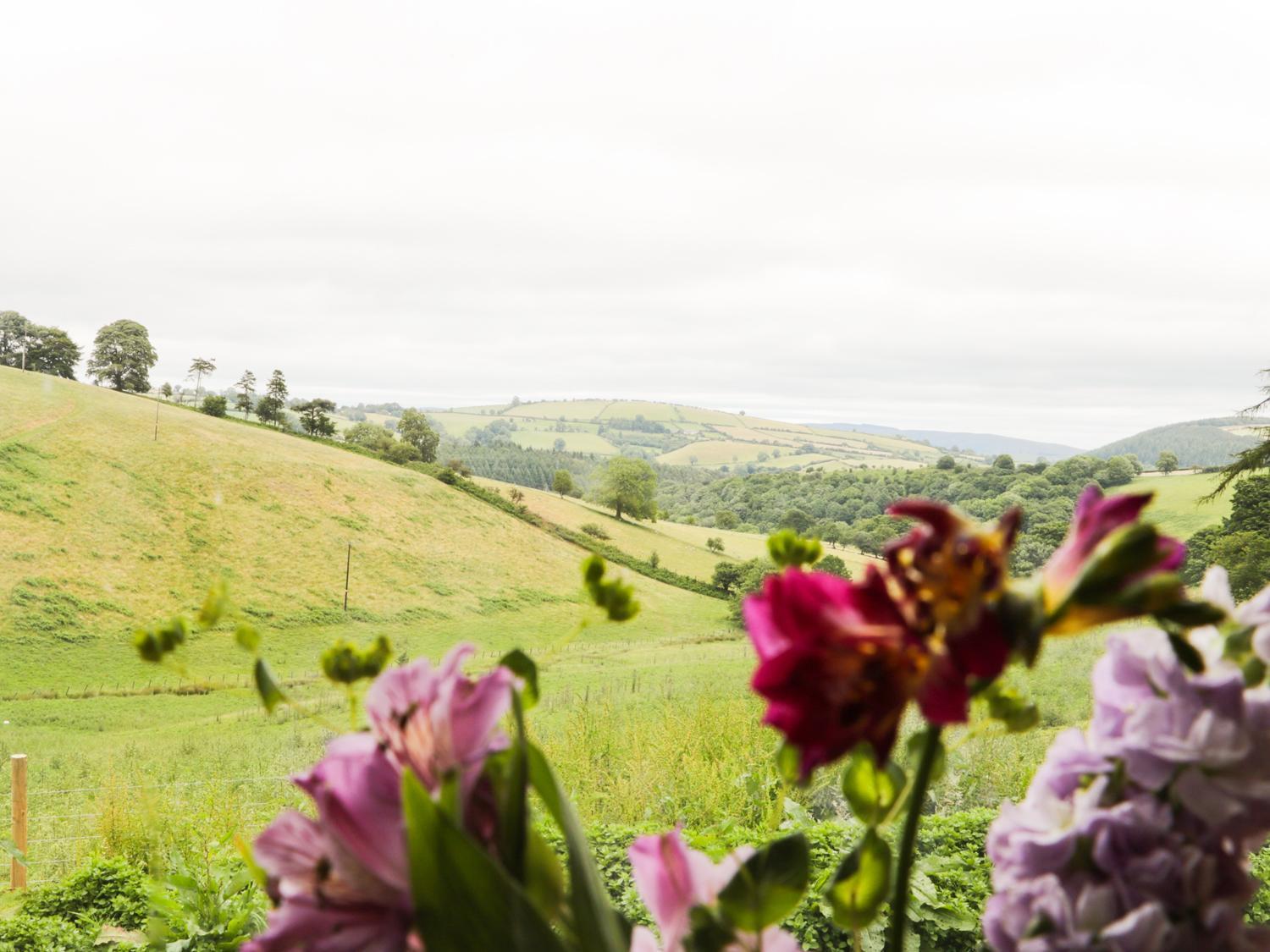 Вілла Rolling Hills Newcastle  Екстер'єр фото
