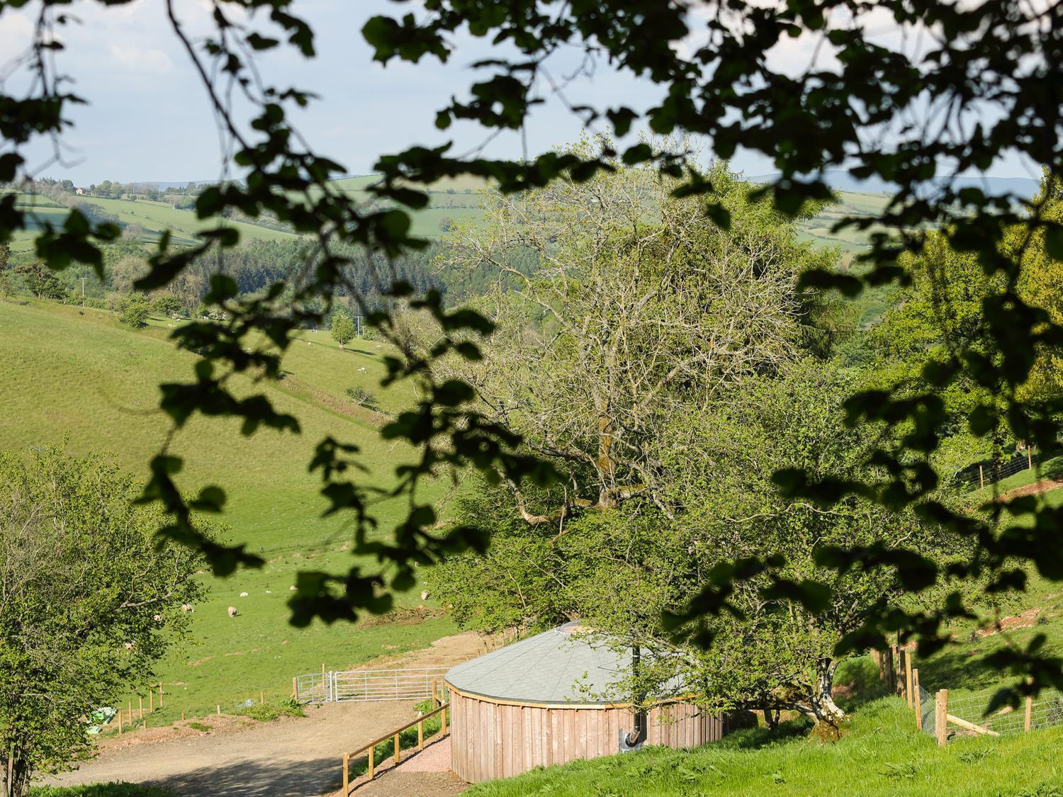 Вілла Rolling Hills Newcastle  Екстер'єр фото